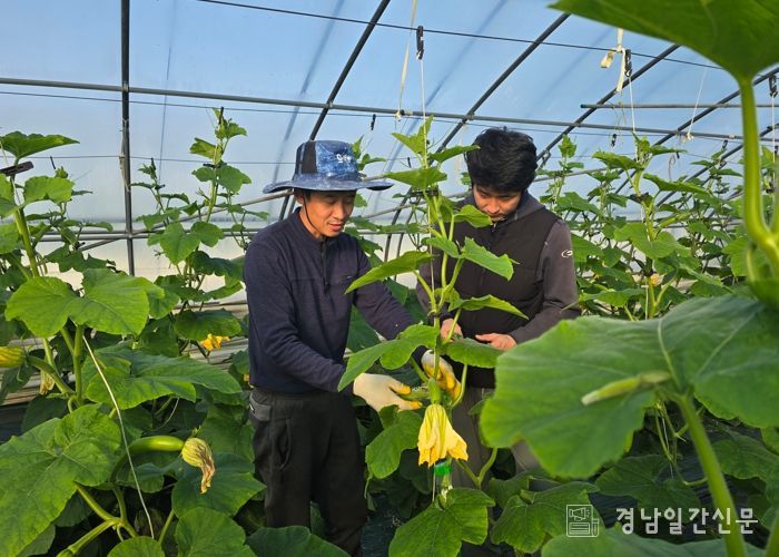 의령군 올해 청년귀농인 역대 최대 전입...400가구 돌파
