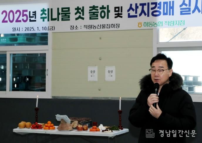 ‘한 겨울 속 봄의 향기’ 하동 취나물 출하 시작-취나물 초매식