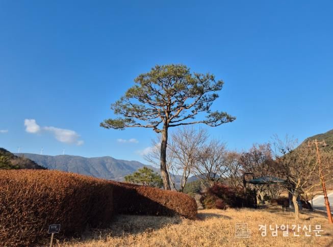 거창군, ‘거창사건추모공원’ 환경정비로 설 연휴 맞이 준비 완료!
