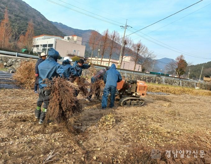 불법 소각 단속·농산폐기물 집중 처리