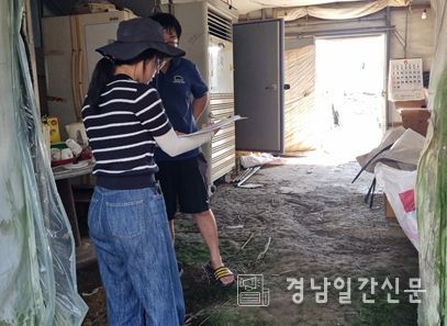 현장 점검 사진