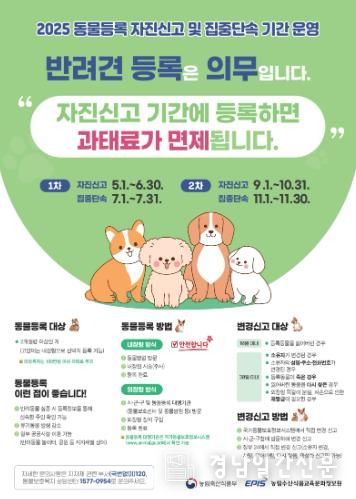동물등록 자진신고 홍보포스터
