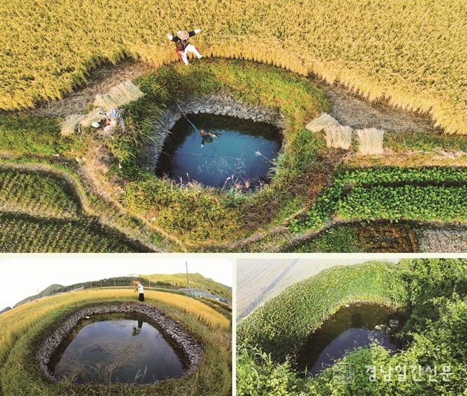 고성군, ‘2026 농경문화 소득화 모델 구축사업’ 공모 전국 1위