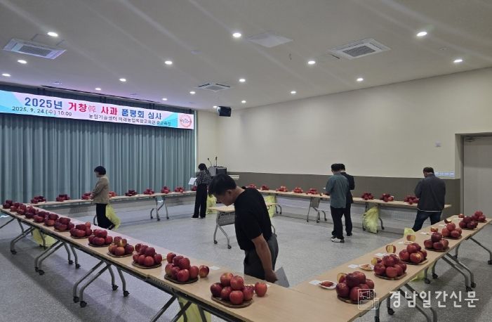 사과 품평회
