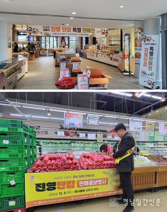 김해시, 진영단감 온·오프라인 판촉행사 개최