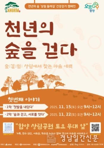 천년의 숲, 걷기와 문화가 만나다