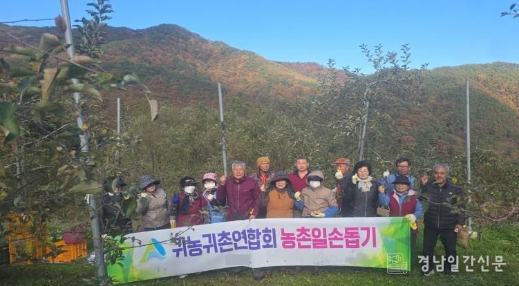 거창군 귀농귀촌인연합회, 사과 수확 일손돕기 봉사활동 펼쳐