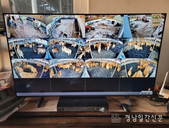 ‘2026년 축산분야 ICT 융복합 확산사업’ 선정 8억8천만원 확보