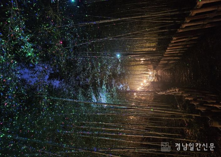 월아산 숲속의 진주, ‘다시 찾는 숲’ 도약 준비- 대나무숲길 야간경관