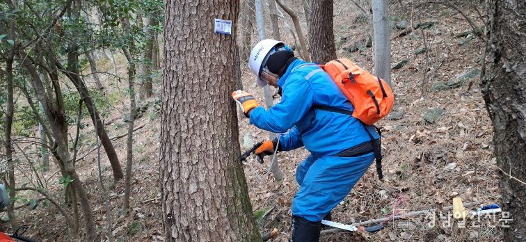통영시 소나무재선충병 전략적 방제 추진