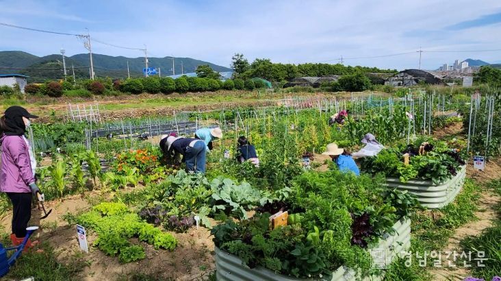 2026년 도시농업 기초반, 전문가반 교육생 모집