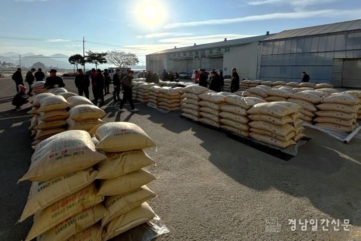 , 2027년 공공비축미곡‘미소진품’, ‘아람’선정