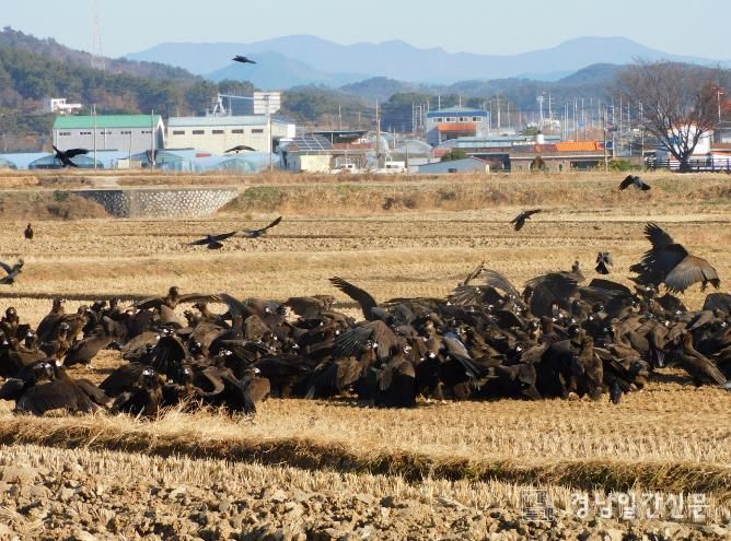 2026년 설 연휴 다양한 관광지로 준비된 고성군