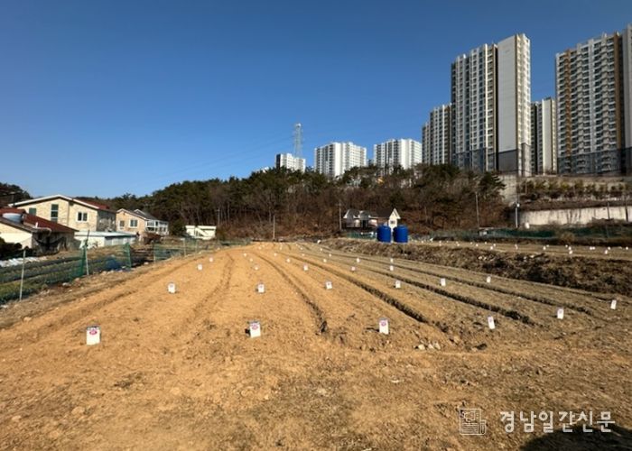 거제시, 2026년 도시민 주말농장 참여자 선착순 모집