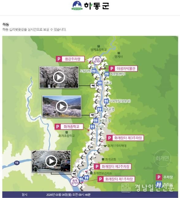 벚꽃개화서비스