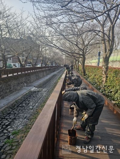 진해, 봄맞이 준비 본격화