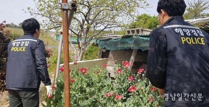 사천해경, 해양 마약류 범죄 집중단속