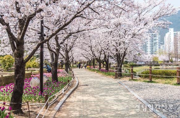 “김해의 봄 길을 걷다” -연지공원