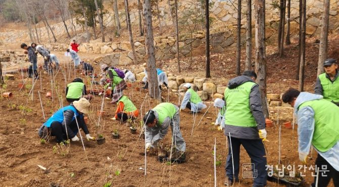 남해군, 식목일 맞아 자연휴양림 나무심기 행사