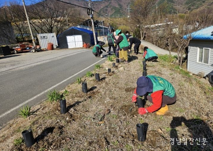 밀양시새마을회와 산내면 동명마을 주민들이 탄소중립 실천을 위해 묘목을 심고 있다